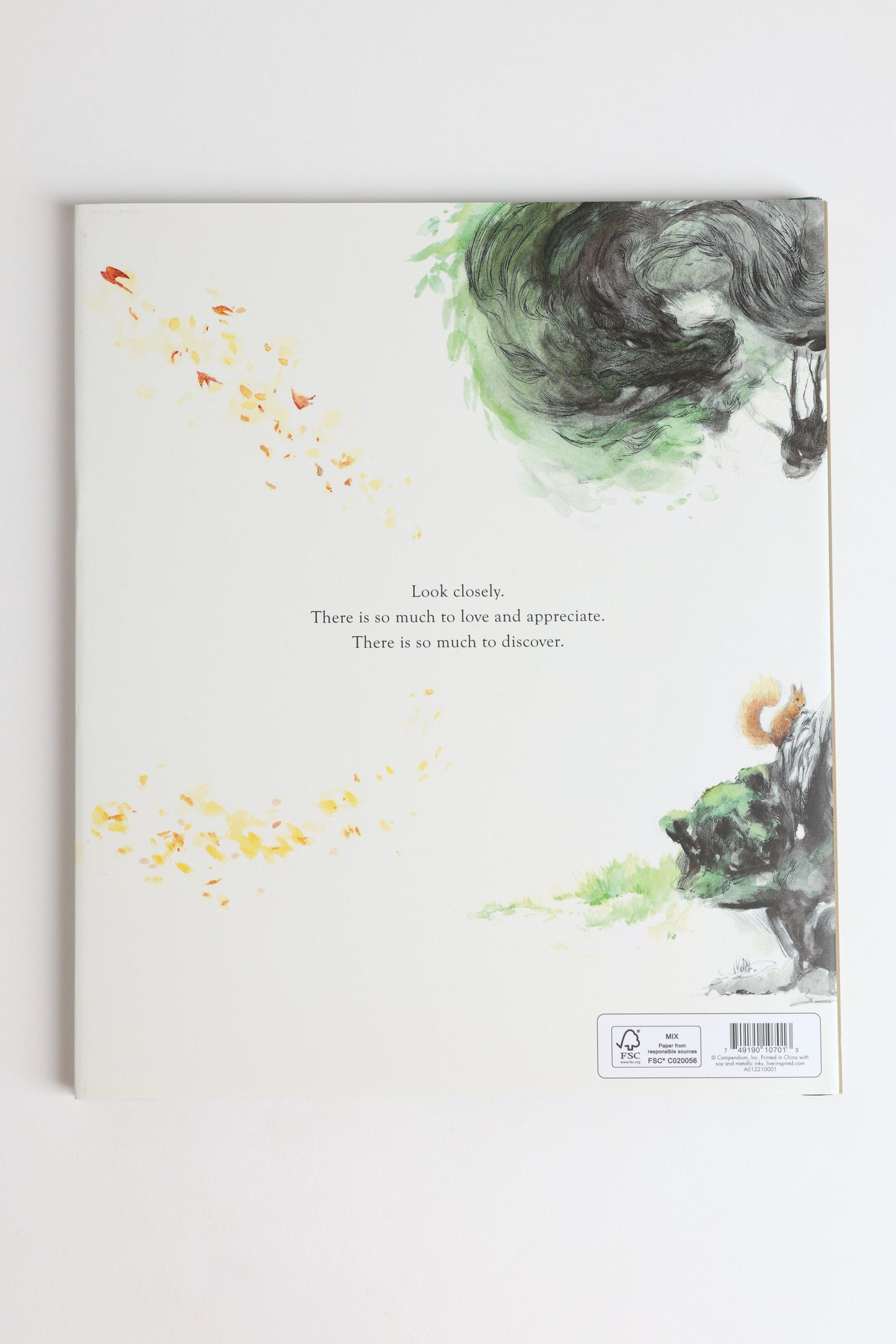 Noticing Book