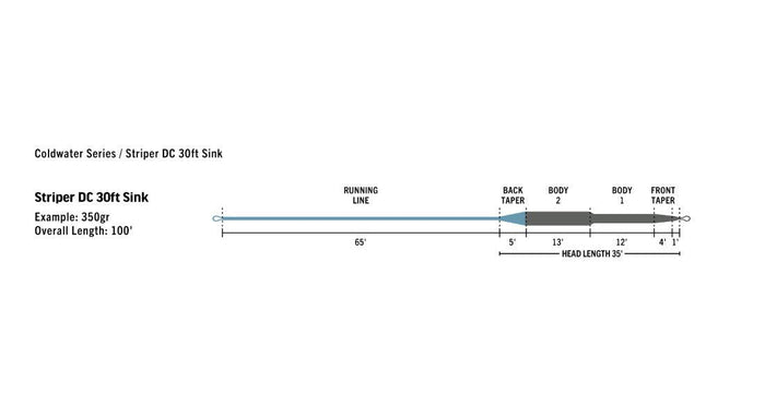 RIO Premier Striper saltwater fly line - detail view