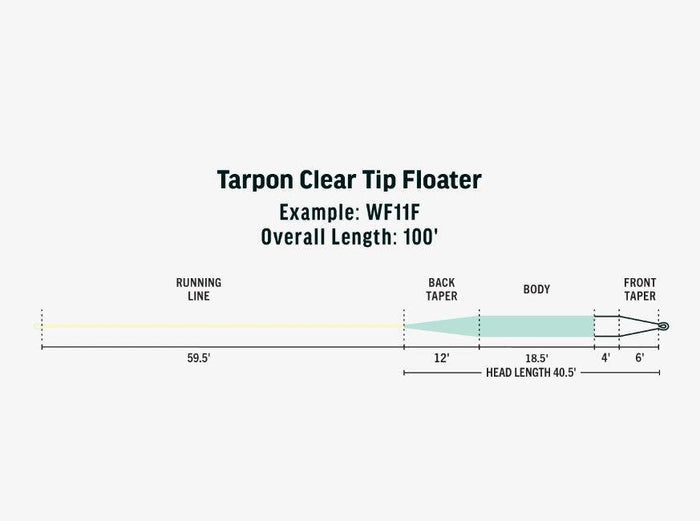 RIO Premier Tarpon Clear Tip Floater saltwater fly line - detail view