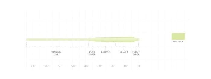 Scientific Anglers Frequency Magnum fly line - detail view