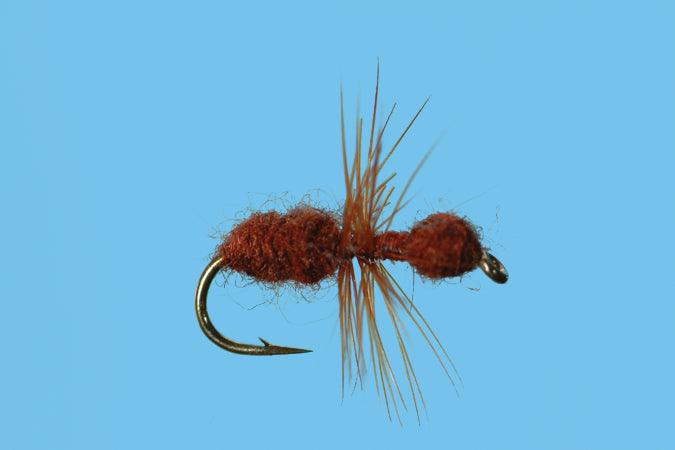 Solitude Ant (T010) 6-Pack