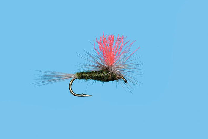 Solitude Hi-Vis BWO (Pd066) 6-Pack