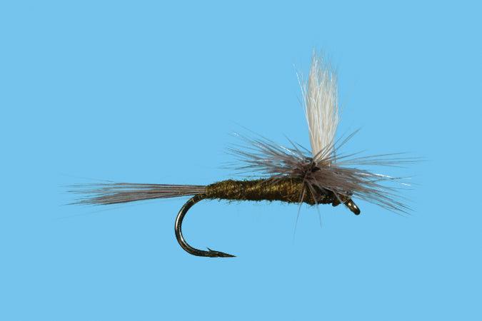 Solitude Parachute Blue Wing Olive (Pd070 ) 6-Pack