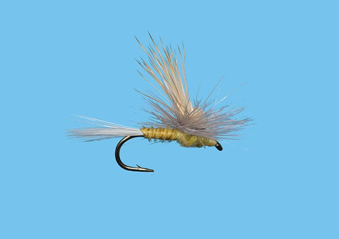 Solitude Tiltwing - PMD (D387pm) 6-Pack