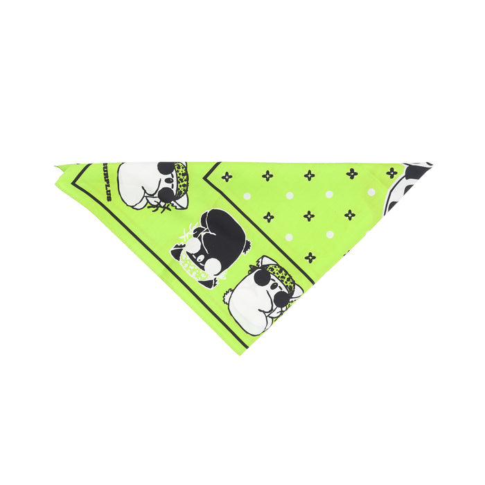 Surplus Bandana