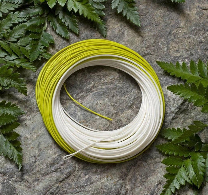 Royal Wulff Triangle Taper Plus freshwater fly line