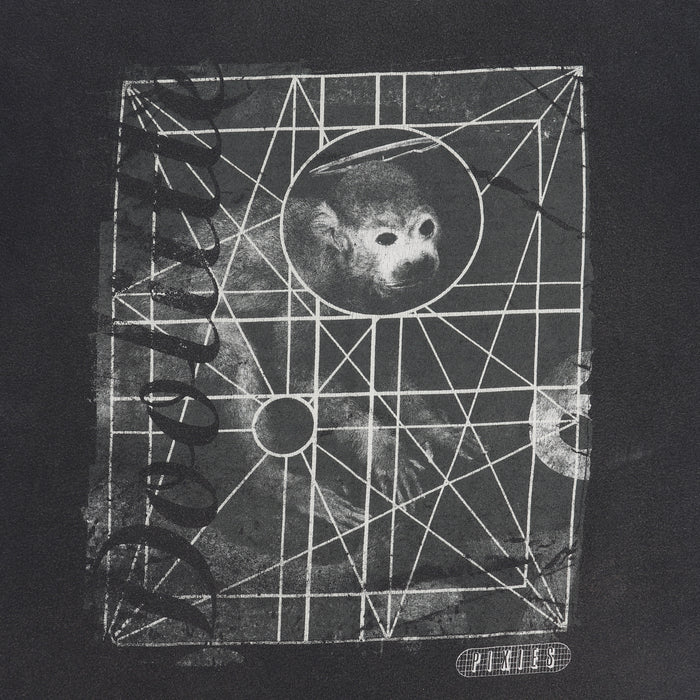 2000S The Pixies
