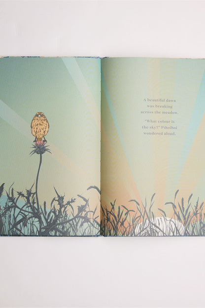 What Colour is the Sky Book