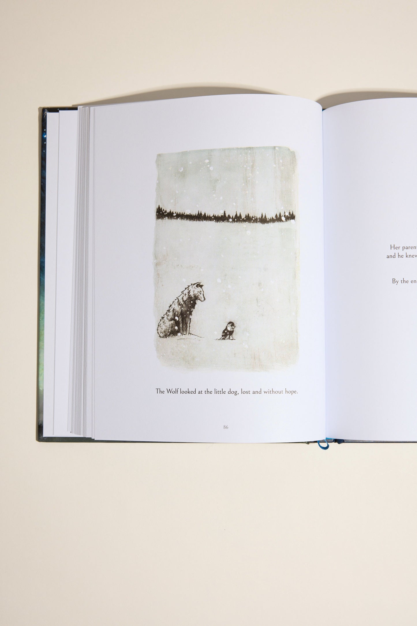 Following The Moon Book