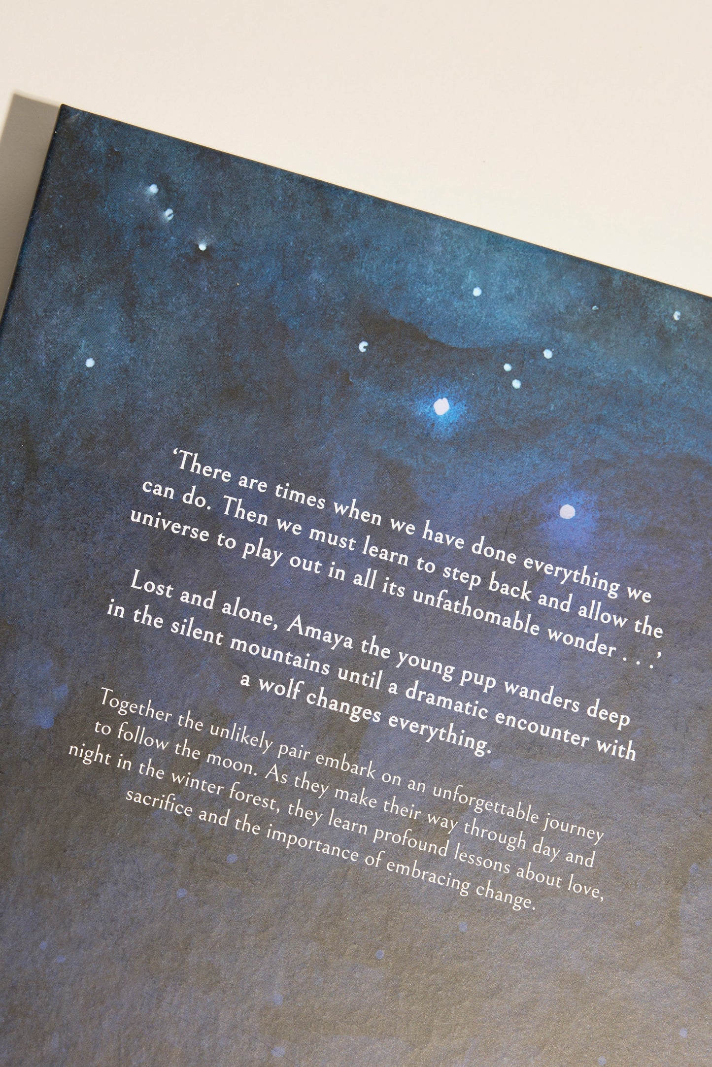 Following The Moon Book