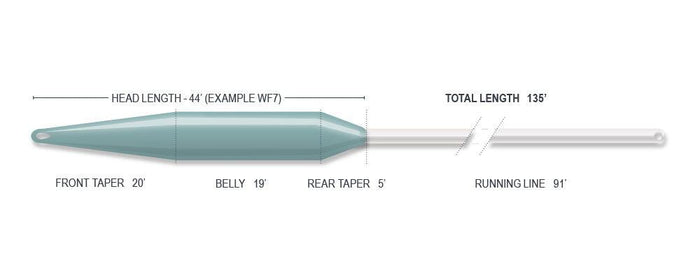 Airflo Superflo 40 Plus Expert fly line - detail view