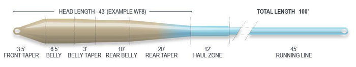 Airflo Superflo Flats Universal Taper - Sand/Blue Sky saltwater fly line - detail view