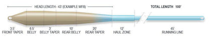 Airflo Superflo Flats Universal Taper - Sand/Blue Sky saltwater fly line - detail view