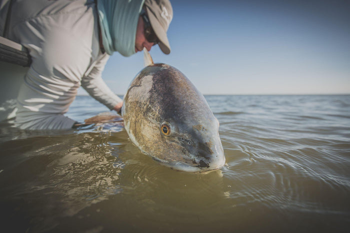 Cold Redfish