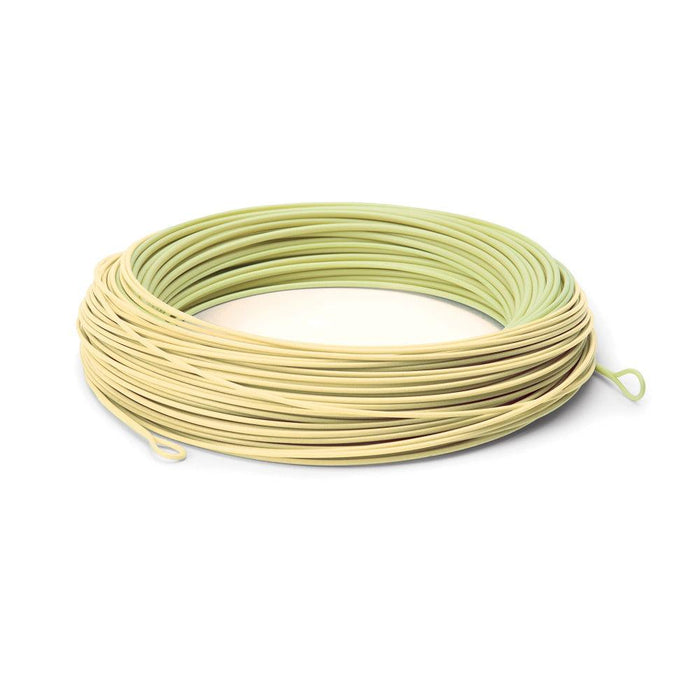 Cortland Tarpon saltwater fly line - detail view