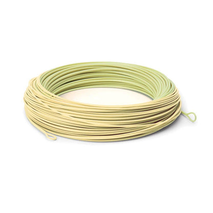 Cortland Tarpon saltwater fly line - detail view