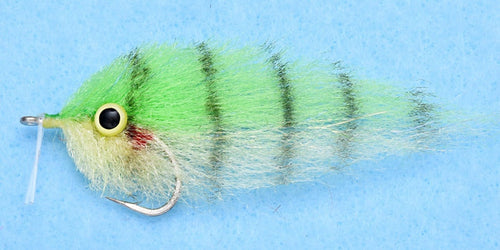 Enrico Puglisi Ghost (3-Pack)