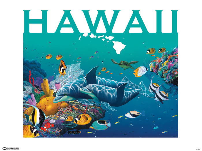 Hawaii Rainbow Sea Poster