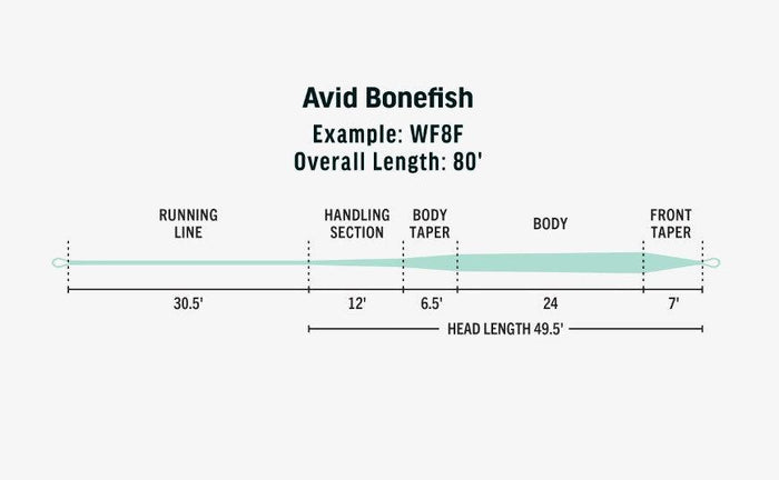 RIO Avid Bonefish saltwater fly line - detail view