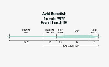 RIO Avid Bonefish saltwater fly line - detail view