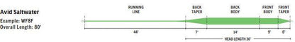 RIO Avid Saltwater fly line - detail view