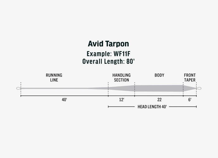 RIO Avid Tarpon saltwater fly line - detail view