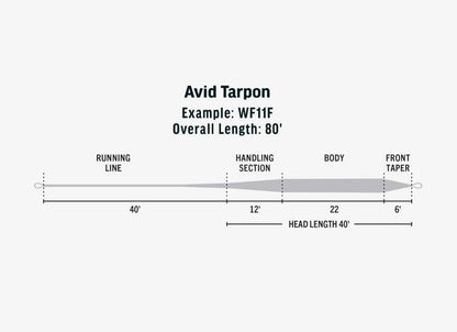 RIO Avid Tarpon saltwater fly line - detail view