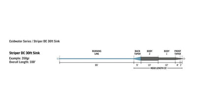 RIO Premier Striper saltwater fly line - detail view