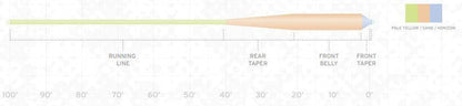 Scientific Anglers Amplitude Smooth Grand Slam fly line - detail view
