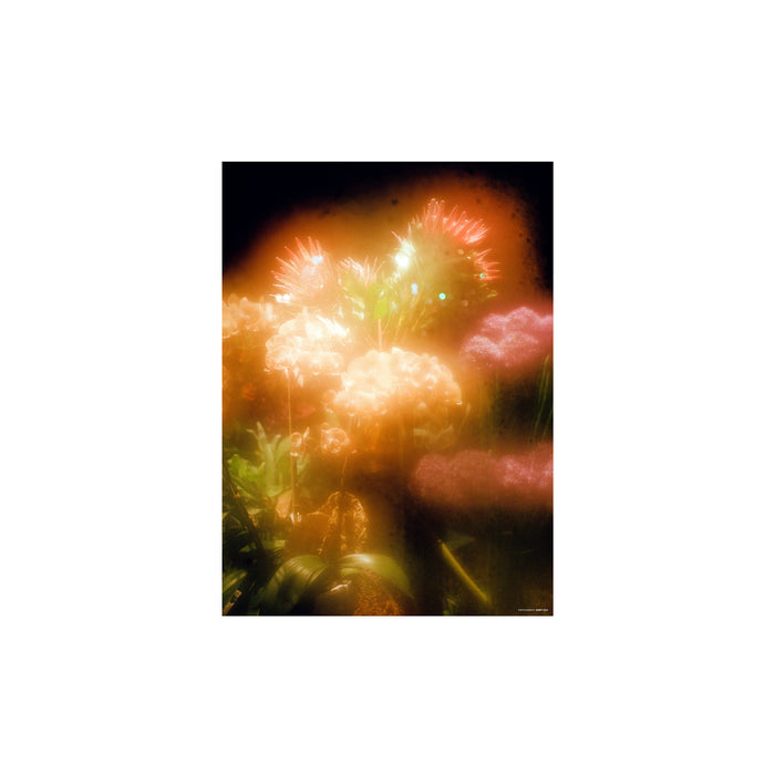 Sneeze Magazine No.66 Holiday 2025