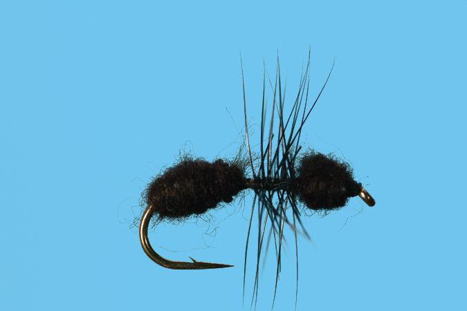 Solitude Ant (T010) 6-Pack