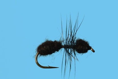 Solitude Ant (T010) 6-Pack