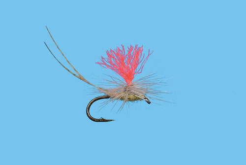 Solitude Hatch Matcher PMD (D1838pm) 6-Pack