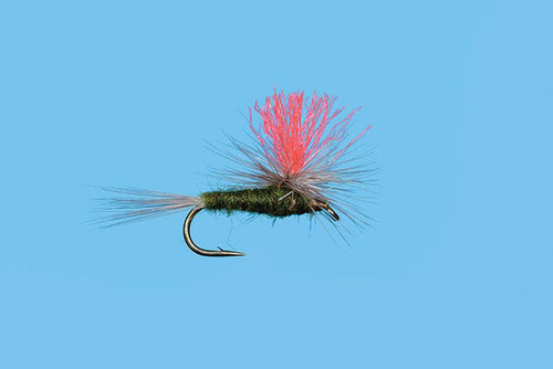 Solitude Hi-Vis BWO (Pd066) 6-Pack
