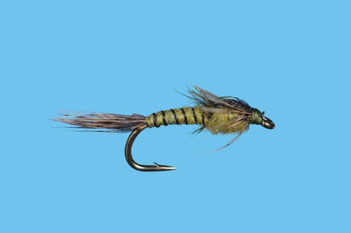 Solitude Pandemic May BWO Nymph (N097ol) 6-Pack