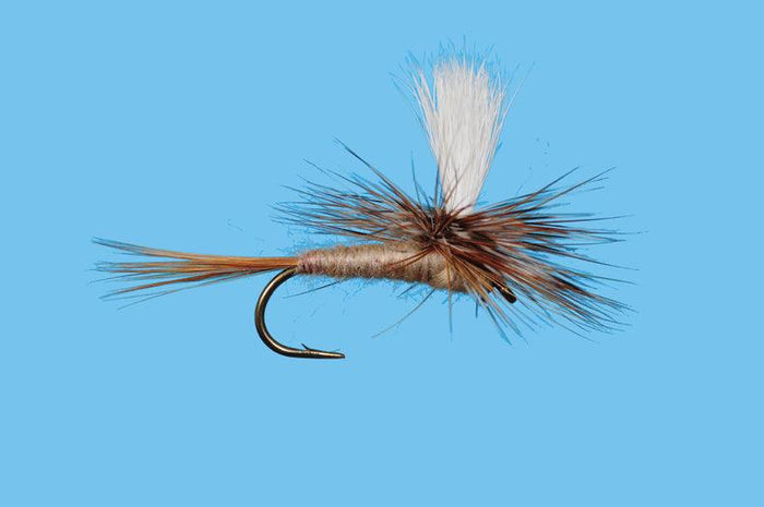 Solitude Parachute March Brown (Pd340) 6-Pack