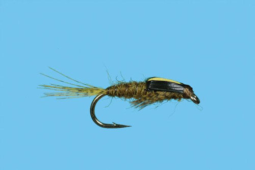 Solitude Split Case BWO (N280) 6-Pack