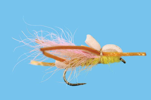 Solitude Yellow Sallie - Larimer's (D560) 6-Pack
