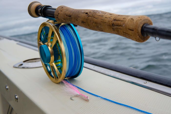 Striped Bass Blitz