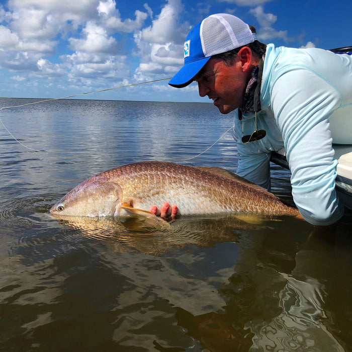 Tropic Redfish